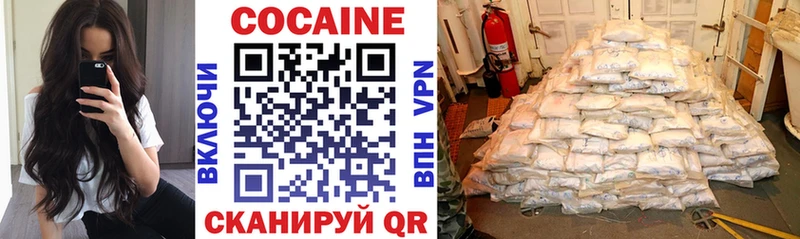 Cocaine FishScale  Купить закладки  Карпинск 