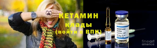 твердый Дмитров