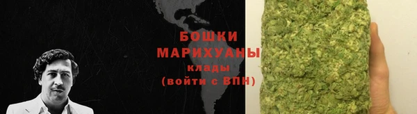 твердый Дмитров