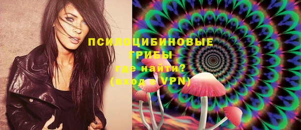 твердый Дмитриев