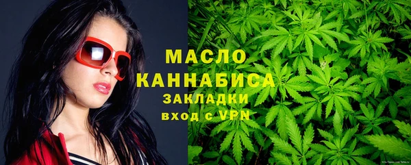 твердый Дмитриев