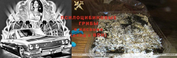 твердый Дмитров