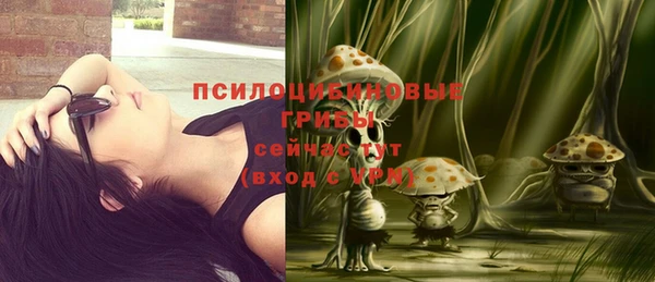 твердый Дмитриев