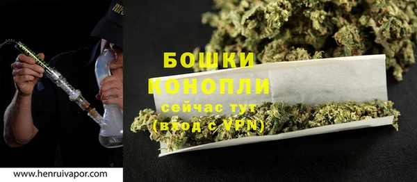твердый Дмитриев