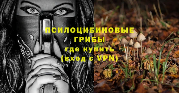 Альфа ПВП Дмитровск