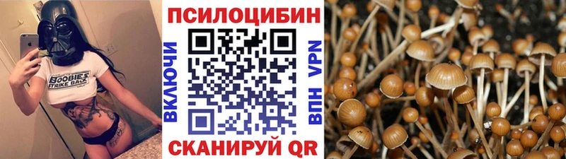Галлюциногенные грибы Cubensis  Купить закладки  Карпинск 